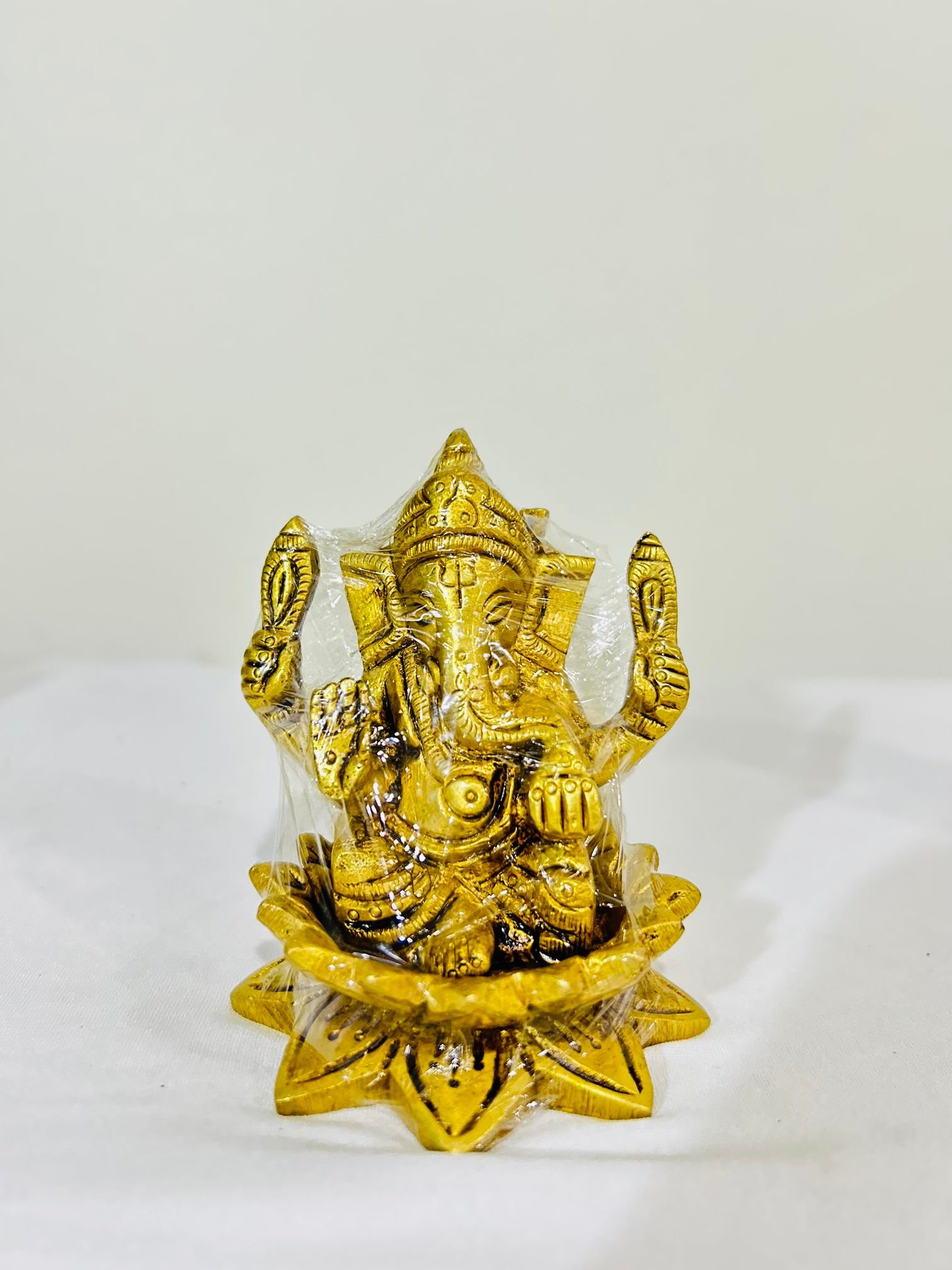 WhatsApp Image 2025-10-27 at 12.16.34 PM